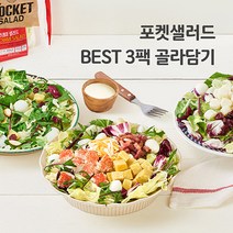 포켓샐러드 BEST 3팩 밀키트 채소 야채 샐러드 배달 도시락, 21.숯불갈비1+옥수수톡1+깻잎가득1, 3개