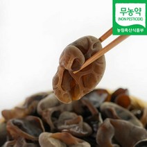 국내산 무농약 생목이버섯 건목이버섯 산지직송, 생 목이버섯 500g