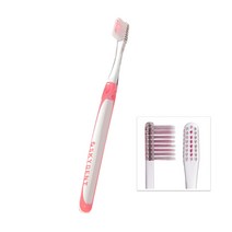 GANAHOME SKYDENT No.24 Slim 칫솔 이중식모 미세모 일반 성인 여성 치과칫솔 스몰헤드, 1개, 1개