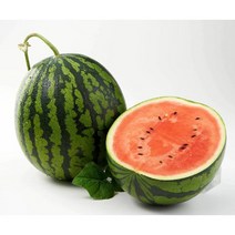 하우스수박 달콤한고당도 12 브릭스이상 달달한 꿀수박 4kg 5kg 6kg내외 왕수박, 05_하우스 정품꿀수박 선물용 (6KG내외)