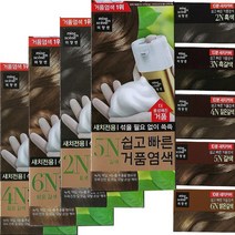 미장센 미쟝센 쉽고빠른 거품염색약(5N 갈색) 일반염색약(멋내기), 선택없음, 선택없음