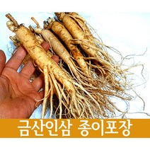 실속형 수삼 5년근 인삼 750g 11~15뿌리 특상품+종이포장, 인삼(750g) 11-15뿌리 종이포장