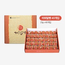 안동 하회탈 하회탈빵 명물빵 영양간식 건강간식 상황버섯균사체 상황버섯추출액 숙성 류충현약용버섯, 3박스, 40개