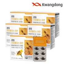 광동생활건강 프로폴리스 아연 60캡슐 5박스 10개월분 플라보노이드 셀레늄, 단품/단품