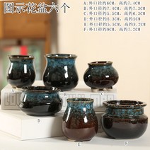 다육화분 다육이 심폴 화분 식물 미니 화분세트, 도자기, 옵션36