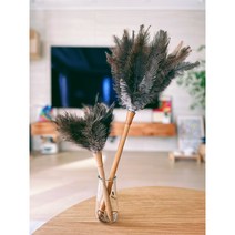 타조털 먼지털이개 원목 풍성한 타조털 먼지털기, 기본