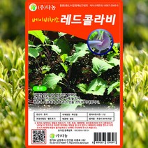 레드 콜라비 씨앗 콜라비 씨 종자 10g, 단품