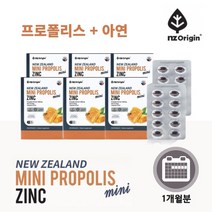 뉴질랜드 프로폴리스 아연 비타민E 플라보노이드 구내염 입천장 입안 헐었을때 피로 면역력 에 좋은 영양제, 6BOX(6개월분)