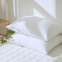 루시드슬립 잠에 푹 빠져드는 호텔식 프리미엄 마이크로파이버 다운필 베개솜 40x60 50x70, 1개