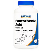 Nutricost 뉴트리코스트 판토텐산 500mg 신진대사 활성 240캡슐