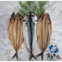 속초수산 반건조 고등어 중 대, 3마리, 300g이상
