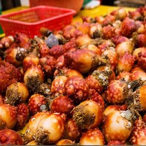통영 깐멍게 깐굴 활멍게 산지직송 당일생산 깐멍게400g 깐굴 1kg 멍게비빔밥, 깐멍게400g+깐굴 1kg