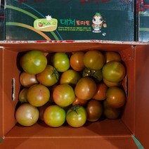 부산 강서구 명물 대저 으뜸 토마토 2.5kg, 랜덤과 2.5kg