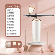 안개분사 분무기 얼굴수분충전 피부 보습 스팀기, 화이트수통2개