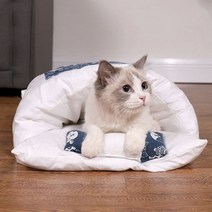 고양이이불 방석 강아지담요 쿠션 이불베게세트_1211EA, 꽃무늬레드S