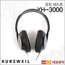 영창 YH-3000, 영창 YH-3000/WH