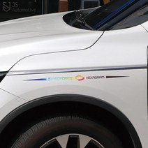 JS automotive SM6 QM6 XM3 르노삼성 엠블럼 로고 휀다 사이드 본넷 트렁크 리어 차량 튜닝 스티커 용품, C타입_화이트