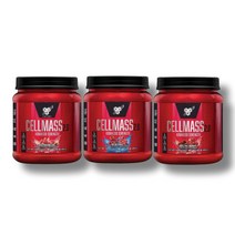 BSN 비에스엔 셀메스 운동후 파우더 495g 25회분 3가지맛, 아틱베리