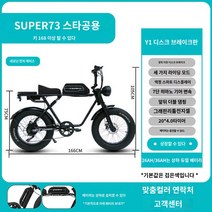 MTB 오프로드 레트로 전기자전거 12Ah, 복각판-Y1 중앙 유압 충격 흡수 + 분리 시트, 15AH