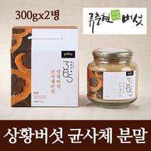 국산 상황버섯 분말 가루 차 류충현 365 목질진흙 상황 버섯 균사체 베타글루칸 펠리누스 린테우스 추출물 액기스 100% 국내산 선물세트, 2, 류충현약용버섯 300g
