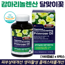 감마리놀렌산 달맞이꽃종자유 오메가6 생리활성 월경전 건강 여성 영양제 캐나다 직수입, 6박스, 180캡슐