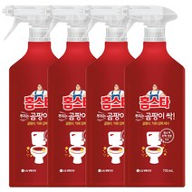 홈스타 뿌리는 곰팡이싹 750ml / 염소계 표백성분 함유, 4개입