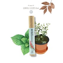 힐링팜스 롤온 천연 아로마 테라피 펄스포인트 페퍼민트&로즈마리 12ml, 1개