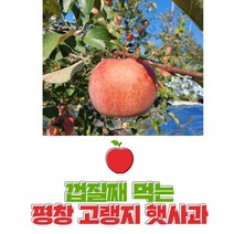평창사과 껍질째먹는 고랭지사과 꿀부사사과 5kg 15-16과 내외 친환경햇부사, 상세페이지 참조