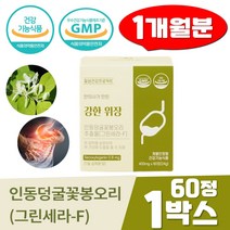 강한 위장 인동덩굴 꽃봉오리 추출물 60정 그린세라F 양배추 분말 위건강 브로멜라인 그린세라에프