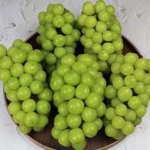 샤인머스켓 망고포도 청포도 제철과일 깊은향 과육단단 국내산, 샤인머스켓 2kg
