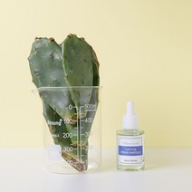 보검선인장 리페어 앰플 30ml 보습 진정 에센스