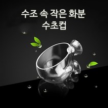 수아쿠아 글라스 수초포트 수초컵, 2개