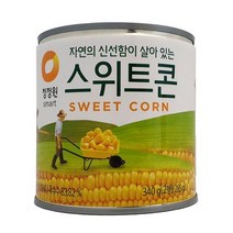 청정원 신선한 스위트콘 옥수수캔 340g, 20캔