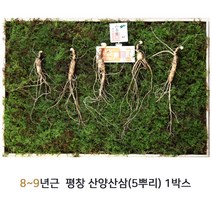 동인발효삼 평창 산양삼 산양산삼 뿌리 6~7년근 먹는법