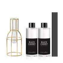 코코도르 와이어 화병/골드/소 + 리필액 200ml X 2개, 0001_와이어화병/골드+스틱33/5P/블랙, 23_리필200ml/리틀포레스트X2