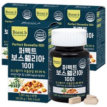 본트비 퍼펙트 보스웰리아, 4박스, 1001mgx60정