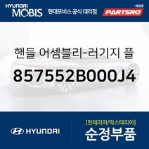핸들-러기지 플로어 박스 (857552B000J4) 싼타페 현대모비스부품몰