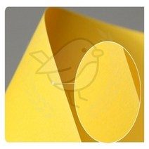 기타 새임 개나리색 A4 25매 A4색지 OA팬시페이퍼 A4복사용지80G