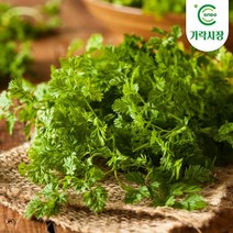 온도씨 가락시장 처빌 1팩(약10g)