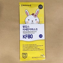 웰킵스 KF80 소형 마스크 아동용 어린이용