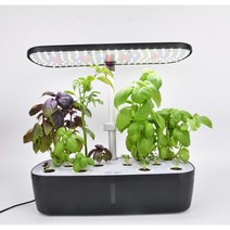 수경재배기 재배기 상추 스마트 팜 야채 LED 채소 새싹 자동 재배 실내 가정용 식물, 블랙-12구