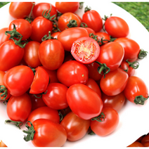 대추 방울 토마토 1kg/2kg/5kg 최상급 저렴한 가격, 2 KG