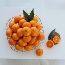 5kg 로얄과 과일선물 제주도 노지 감귤 아침밥추천 베이커리 식빵토핑 간편식품 자취생 샌드위치 직장인, 상세 참조