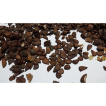 모과나무씨앗25g(500립), 1개