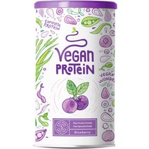 독일 Alpha Foods 알파푸드 비건 프로틴 파우더 블루베리맛 식물성단백질 600g, 1개, 기본