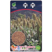성우 수수씨앗 30g, 수수, 1개