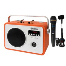 DY-307 국산 포터블앰프스피커 무선마이크 버스킹 기타 색소폰 에코 블루투스 USB 녹음, 무선헨드+헤드셋마이크