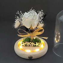 [더라임코리아] 문구 각인 LED 먼로 장미 무드등 DIY 만들기 키트, 화이트_폰트1(배송메세지)
