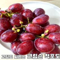 씨없는 고당도 포도 크림슨 적포도 1~4kg 크림슨포도 크림슨적포도 씨없는적포도 고당도포도 당도보장 당도선별 제철포도 제철과일 가정용 식당용 포도선물 선물용, 1kg