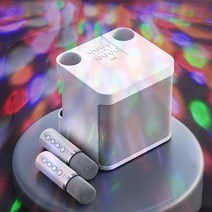 이응이응 가정용 차박 듀엣 듀얼 블루투스 마이크 노래방 기계 반주기 이동식 차량용 캠핑용 스피커 앰프